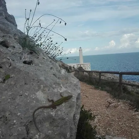 Fata Morgana Hébergement de vacances Casamassella