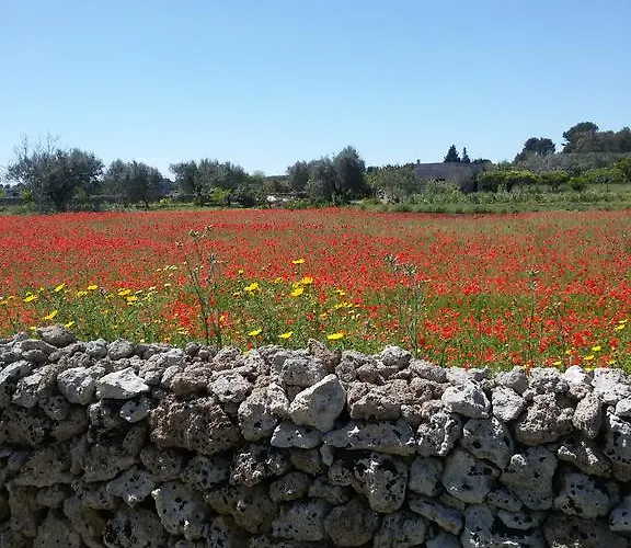 Fata Morgana בית נופש