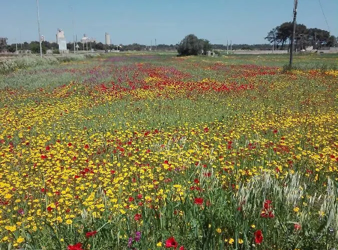 Fata Morgana בית נופש
