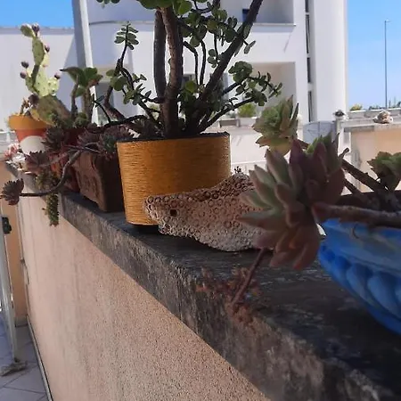 Casa vacanze Fata Morgana