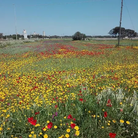 Fata Morgana Casa vacanze